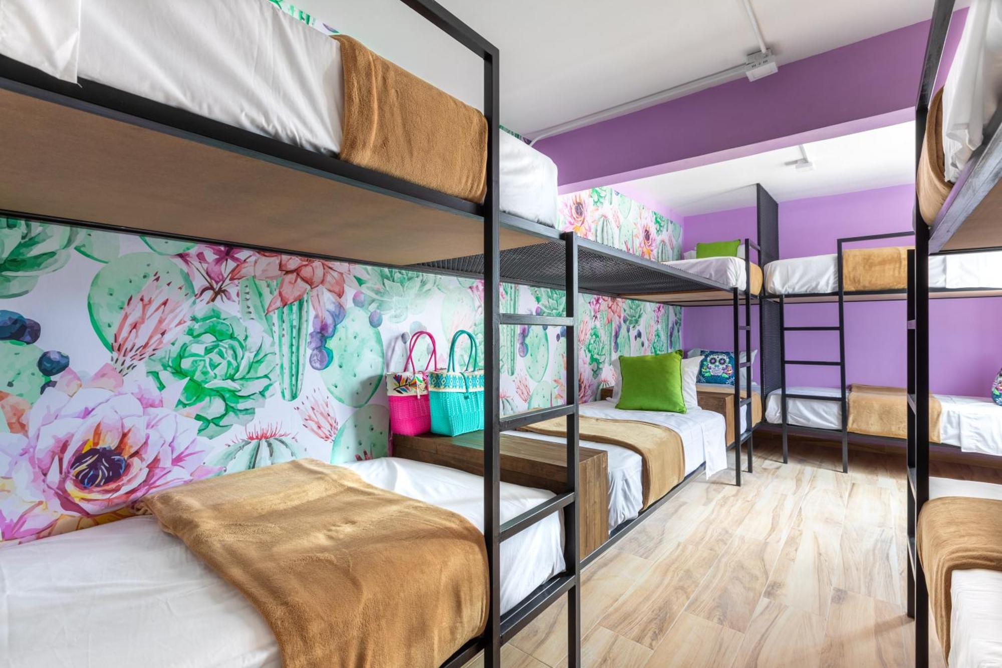 Casa Kanabri Hostal Boutique 멕시코 시 외부 사진